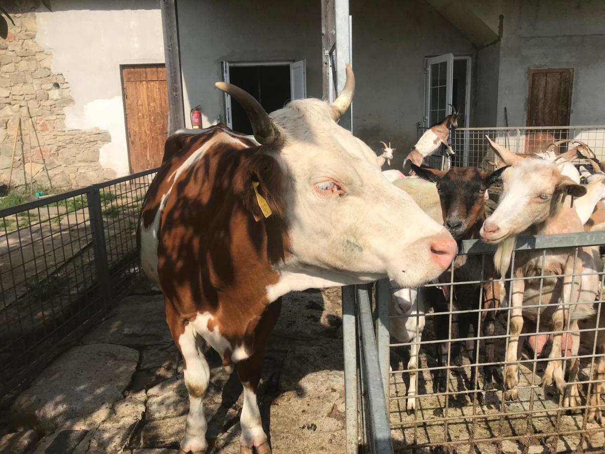 Pension Biofarma Slunecna Želnava المظهر الخارجي الصورة